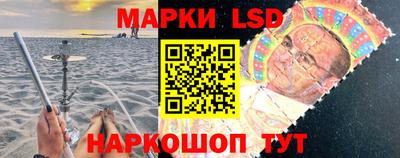 крисы Моздок