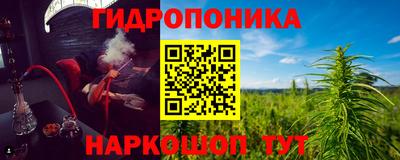 крисы Моздок