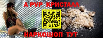 крисы Моздок