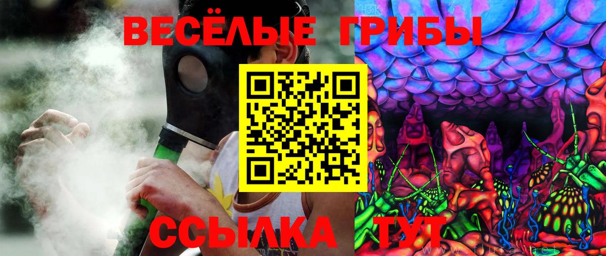 Галлюциногенные грибы прущие грибы Борисоглебск