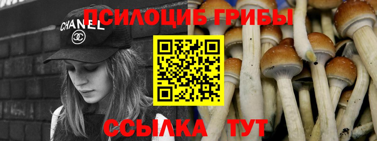 Галлюциногенные грибы мухоморы  Вход с VPN  Галлюциногенные грибы прущие грибы  Борисоглебск 