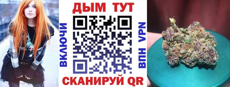Шишки марихуана сатива  где можно купить   Борисоглебск 
